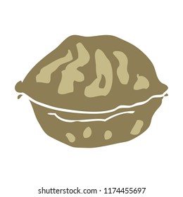 flat color illustration of walnut in shell