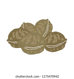 ilustración de color plano de nueces