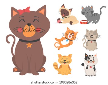 Flat color simple style design. Different amusing pets isolated on white background. Cute kittens playing, stretching and sleeping. Cartoon cat characters collection. Vector illustration, eps 10.