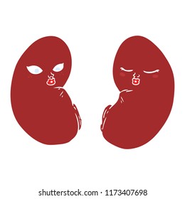 flat color style cartoon kidneys