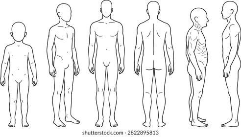 Flat color vector illustration