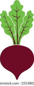 Flat color vector image of Beets 