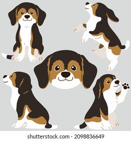 Flat colored adorable dark tri colored Beagle illustrations