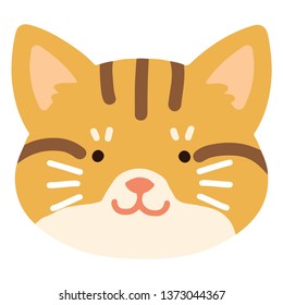 Flat colored adorable Red tabby cat 