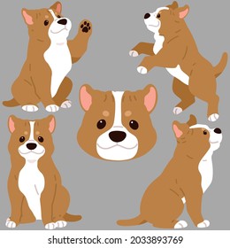 Flat colored adorable and simple Pitbull illustrations set