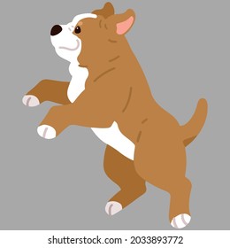 Flat colored adorable and simple Pitbull jumping and playing