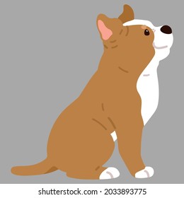 Flat colored adorable and simple Pitbull sitting in side view
