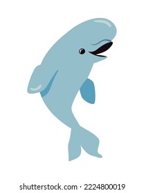 flat colored beluga over white