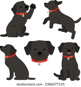 Flat colored black Labrador with a red collar illustrations set