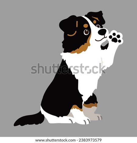 Flat colored Black Tri Australian Shepherd dog sitting waving hand