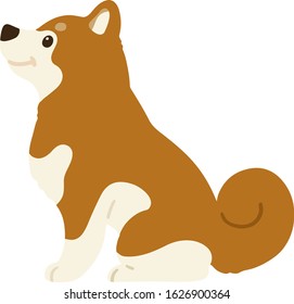 Flat colored brown Shiba Inu sitting side view