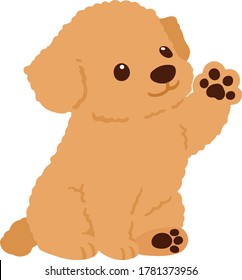 Flat colored Chihuahua Poodle Mix Puppy sitting waving hand