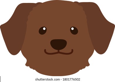 Flat colored chocolate Labrador front face