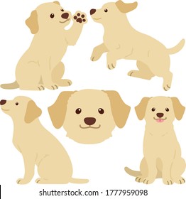 Flat colored cream Labrador illustrations set