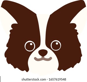 Flat colored dark brown chihuahua head front view