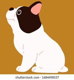 Flat colored French Bulldog sitting side view