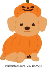 Flat colored Halloween Toy Poodle illustration sitting front view