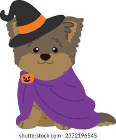 Flat colored Halloween witch Yorkshire Terrier illustration sitting front view