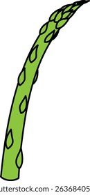 Flat Colored Illustration of Asparagus