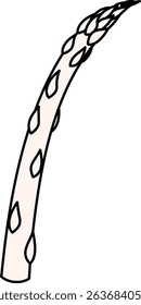 Flat Colored Illustration of Asparagus