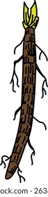 Flat Colored Illustration of Burdock