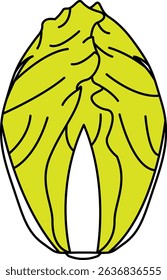 Flat Colored Illustration of Chinese cabbage
