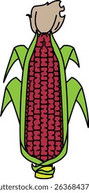 Flat Colored Illustration of Corn