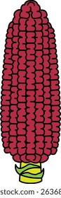Flat Colored Illustration of Corn