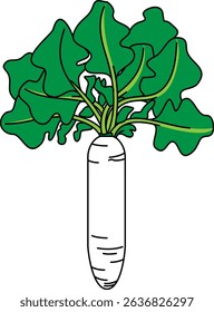 Flat Colored Illustration of Daikon Radish