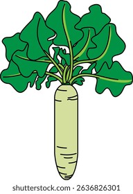Flat Colored Illustration of Daikon Radish