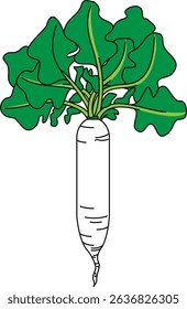 Flat Colored Illustration of Daikon Radish