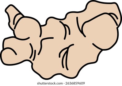 Flat Colored Illustration of Ginger
