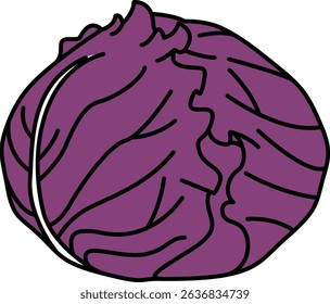 Flat Colored Illustration of Round Cabbage