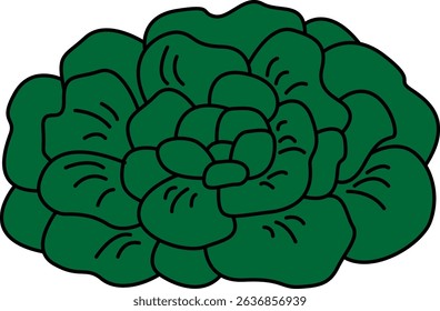 Flat Colored Illustration of Tatsoi