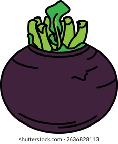Flat Colored Illustration of Turnip
