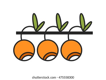 Flat colored linear icon. Berry and fruit object. Vector