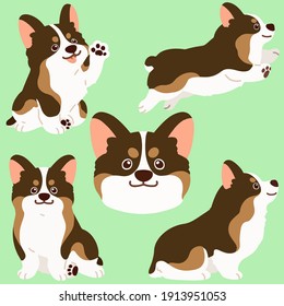 Flat colored sable colored Corgi illustrations set