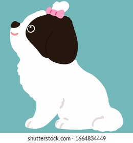 Flat colored Shih Tzu sitting with pink ribbon side view