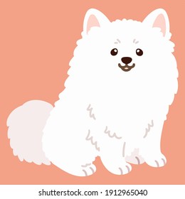 Flat colored simple and adorable Japanese Spitz sitting illustration