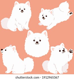 Flat colored simple and adorable Japanese Spitz illustrations set