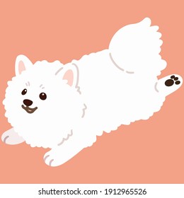 Flat colored simple and adorable Japanese Spitz running illustration