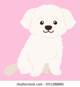 Flat colored simple and adorable white Maltese dog sitting illustration