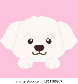 Flat colored simple and adorable white Maltese dog front head with paws 
