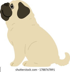 Flat colored simple and cute pug sitting in side view