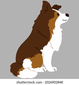 Flat colored simple Shetland Sheepdog sitting in side view