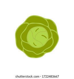 Flat colored vegetable cabbage icon isolated on white background. Concept for farmers market, organic food, grocery store, cafe, restaurant.  Natural product, vegetarian, fresh, natural design