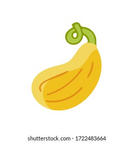 Flat colored vegetable zucchini icon isolated on white background. Concept for farmers market, organic food, grocery store, cafe, restaurant.  Natural product, vegetarian, fresh, natural design