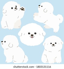 Flat colored white Bichon Frise illustrations set