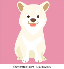 Flat colored white Shiba Inu sitting front view