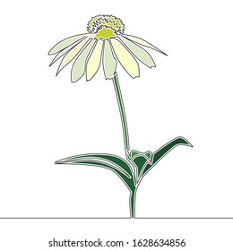 Flat colorful continuous drawing line art Flower icon vector illustration concept